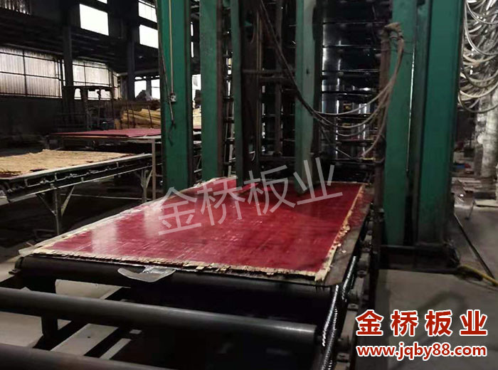 金桥板业竹胶板厂家